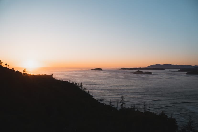 WordPress and Tailwind: A Match Made in CMS Heaven