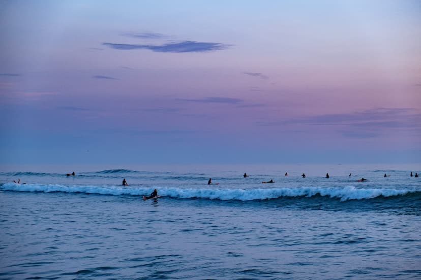 How to Train Your Dragon: The Easy Way!