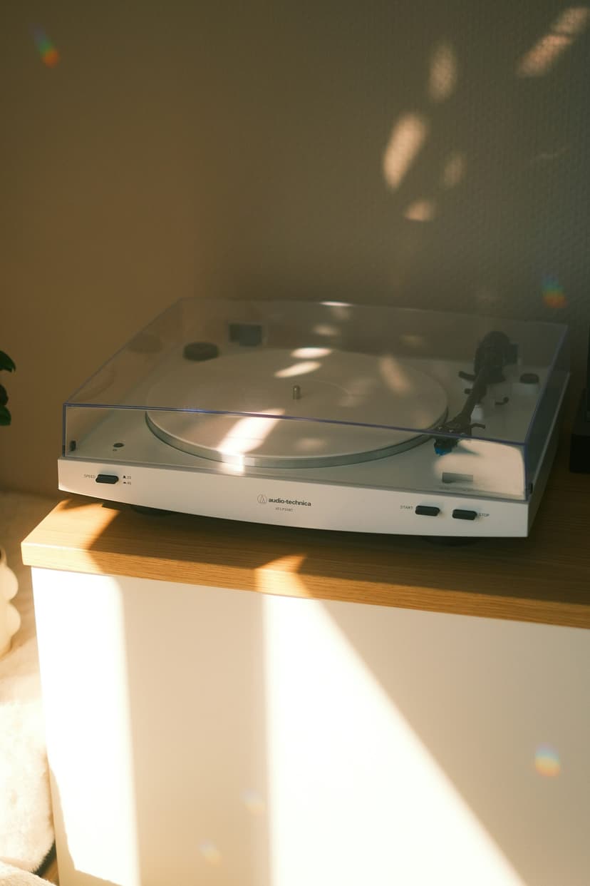 Using WordPress for Programmatic SEO: A Practical Guide